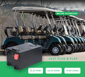 電気自動車用のカスタマイズされた12V24V 48V 60V 72V <span class=keywords><strong>50Ah</strong></span> 100Ah200Ah充電式Lifepo4バッテリーパック - Product Image 6