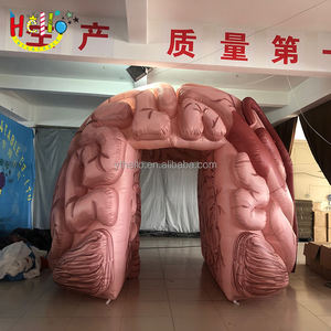 Les événements de soins de santé personnalisés traversent le <span class=keywords><strong>tunnel</strong></span> du cerveau Passage gonflable <span class=keywords><strong>pour</strong></span> l'éducation - Product Image 6
