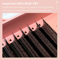 DIYDAY Factory Direct 5D Volume Bande Invisible Faux Cils