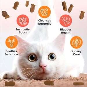 Muestra Gratuita de Golosinas Masticables <span class=keywords><strong>para</strong></span> la Vejiga, Alimento <span class=keywords><strong>para</strong></span> el Apoyo de la Salud del Tracto Urinario <span class=keywords><strong>para</strong></span> <span class=keywords><strong>Perros</strong></span>, Golosinas Orgánicas de Arándano <span class=keywords><strong>para</strong></span> la Salud Urinaria - Product Image 3