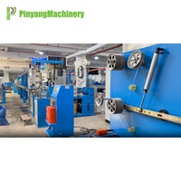 Máquina de coextrusión de cable de nailon Pinyang THHN, extrusora de doble capa de PVC y nailon para cable de construcción con revestimiento de nailon