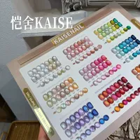 KAISE Kit de 63 Couleurs de Gel Ongles Effet Œil de Chat Multicolore 2026 Nouveau Gel UV Haute Qualité Tendance Non Toxique pour Salon de Manucure Vente en Gros ODM/OEM