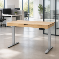 Bureau debout électrique avec plateau en bois, hauteur réglable, ergonomique, pour bureau à domicile, avec tiroirs