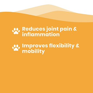 OEM/ODM kıdemli kedi eklem takviyesi-artrit desteği ve hareketliliği için organik sıvı glukozamin MSM ve kondroitin damlaları - Product Image 5