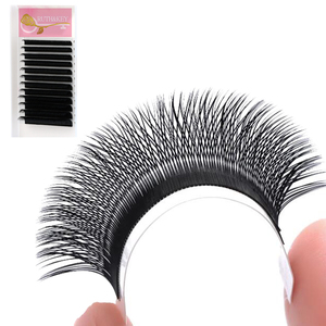 Ruthkey 12 Fili di Ciglia Finte in Visone Sintetico 007 015mm Curvatura C D, Extension Ciglia Individuali Lunghe Naturali Fatte a Mano, Forniture per Ciglia - Product Image 1