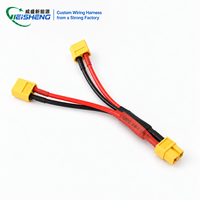 Câble d'alimentation personnalisé XT60 avec faisceau de câbles rouge et noir et connecteur pour véhicules électriques