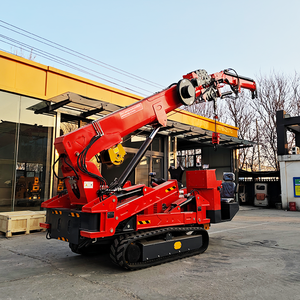 Grue araignée Tonlita CE/EPA Euro 5, 5 tonnes, 10 tonnes, 12 tonnes, hydraulique, sur chenilles, mini-grue araignée chinoise avec nacelle pour personnel - Product Image 2
