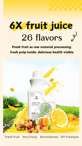 Pabrik Doking Grosir OEM Bahan Minuman Bubble Tea Berkualitas Tinggi Jus Buah Sayur 6 Kali Lipat Jus Semangka Pekat - Product Image 5