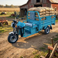 Electric Tricycle Open Body 1000W GCC Three-wheel Cargo Motorcycle 40km/h Long Range 500kg Payload Electric Three-wheeler