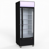 Commercial 500L porte unique congélateur vitrine mince barre refroidisseur/réfrigérateur température unique crème glacée gâteau affichage verre magasin