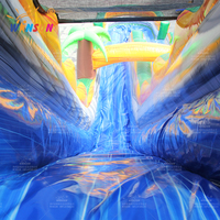 WINSUN US Warehouse Prêt à expédier Toboggan aquatique gonflable double voie de qualité commerciale avec piscine