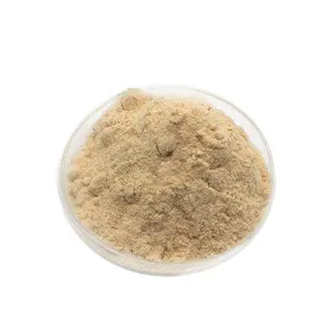 Bubuk ekstrak biji kopi hijau Food Grade, 50% asam klorogenik penggunaan Herbal bersertifikat M.O.Q 1kg HPLC tas benih yang telah diuji Drum
