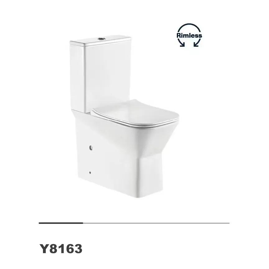 Bagno wc a due pezzi di alta qualità di dimensioni alte 480mm wc per disabili water closet