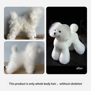 โมเดลหัวสำหรับฝึกตัดแต่งขนสัตว์เลี้ยงแบบทันสมัยสำหรับฝึกตัดแต่งขนสุนัขเทียมหรือฝึกสุนัข - Product Image 2