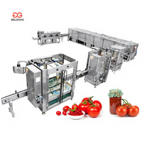 Industriële tomatenpuree- en fruitsausverwerkingslijn, fabriek voor het maken van tomatenketchup, fabrikantprijs