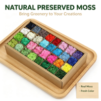 Mousse de renne stabilisée verte naturelle, Kit DIY, Décoration murale artistique, Décoration florale, Halloween, Longue durée 3-5 ans, pour la décoration d'événements