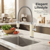 Robinet de cuisine moderne extractible à poignée unique avec flexible, bec haut et couleur personnalisable