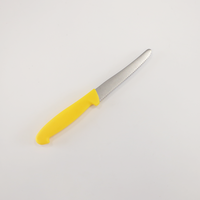 Couteau à steak HACCP en acier inoxydable de 11 cm, à lame ajourée dentelée, avec manche PP ambidextre, pour la restauration commerciale et la cuisine