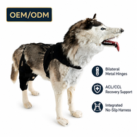 Harnais de soutien arrière pour chien PETSGUARD, pour mobilité canine senior, articulations de la hanche, récupération post-chirurgie LCA, en maille respirante