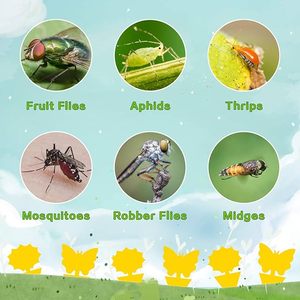 Trái cây bay bẫy nấm Gnat bẫy Vàng dính lỗi bẫy không có hại và không mùi cho sử dụng ngoài trời trong nhà bảo vệ thực vật - Product Image 5