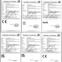 Câble en caoutchouc de haute qualité 220V -240V CE ROHS extérieur IP65 étanche décoration de mariage lumière LED rideau