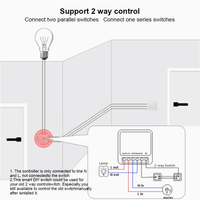 Module d'automatisation intelligent Wi-Fi 16A Mini RF433mhz DIY avec relais pour fil neutre, compatible Smart Life, Alexa, Google Home, 240VAC