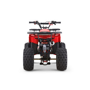 Nuevo Estilo, ATV Quad de 110cc 125cc, Automático, 4 Tiempos, con Transmisión por Cadena, <span class=keywords><strong>Cuatrimoto</strong></span> con Certificación CE en Venta - Product Image 2