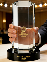 Trophée de compétition professionnel personnalisé en acrylique léger - Personnalisation rapide du logo et du titre pour les summits sectoriels, les défis d'innovation