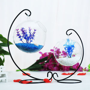 <span class=keywords><strong>Boule</strong></span> suspendue en <span class=keywords><strong>verre</strong></span> pour plantes aquatiques, mini sphère, aquarium avec support en fer, décoration - Product Image 5