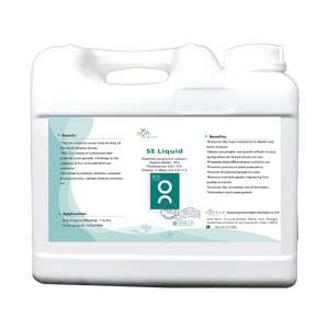 有機肥料液体海藻エキスサプリメントSargassum Ascokhyllum Nodosum天然海藻粉末 - Product Image 2