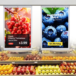 ป้ายราคาแขวนสองด้านขนาด 10.1 นิ้ว ความละเอียดสูง 800×1280 จอ LCD ป้ายราคาอิเล็กทรอนิกส์ ESL EAS ป้ายราคาดิจิตอลอัจฉริยะ - Product Image 1