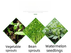 Barquettes de semis carrées en plastique sans trous de drainage pour la culture de micro-légumes et de blé - Product Image 6