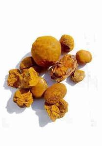 ผงสารสกัด Niuhuang - Product Image 2