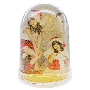 Immagine all'ingrosso di SnowGlobe Souvenir Rahmen cornici di <span class=keywords><strong>plastica</strong></span> per <span class=keywords><strong>foto</strong></span> con globo di neve - Product Image 6