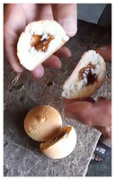 Bao Bun Machine Automatique Bun Faisant La Machine Mince Xiao Long Bao Machine