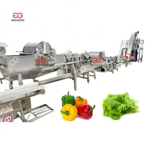 Machine de nettoyage de poivre Jeune noix de coco Oignons de printemps Machine à laver Légumes Aloe Vera Veggie Fruit Bubble Washer