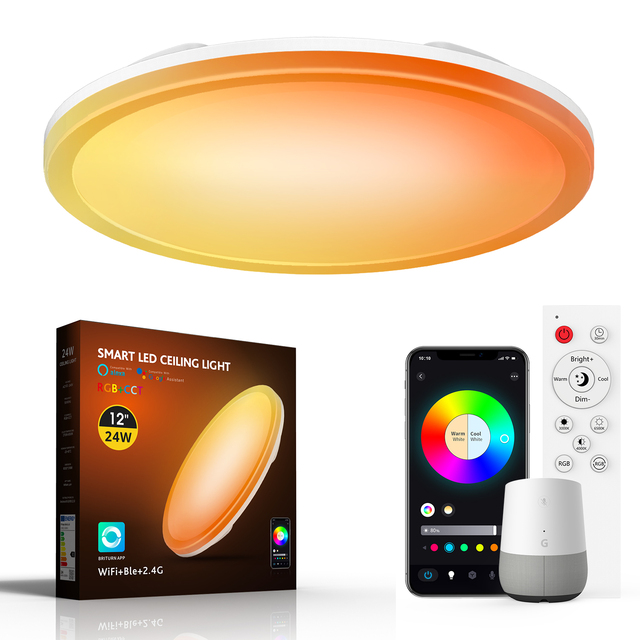 Indoor Surface Mounted LED Smart Ceiling Light 24W RGB Wifi Remote Dimming Color Living Room Reading Bedroom