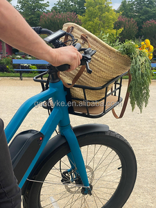 Vélo cargo électrique 24'' 250W avec batterie au lithium sans balais, moteur à moyeu arrière et frein à disque 15AH pour usage familial et livraison - Product Image 3