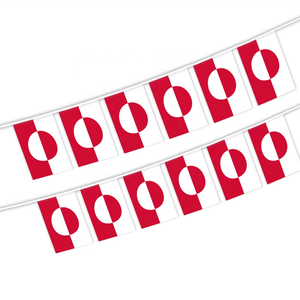 Guirnalda de Banderas de <span class=keywords><strong>Groenlandia</strong></span>, 20 Banderas, 6.5 Metros, Guirnalda de Poliéster para Decoración de Fiestas al Aire Libre para Días Nacionales - Product Image 1