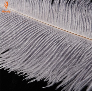 Pluma de avestruz <span class=keywords><strong>gris</strong></span> con hermosa asa de gamuza, juguete para adultos, fetiche, para coqueteo, para palmadas, bondage, estimulador, decoración - Product Image 5