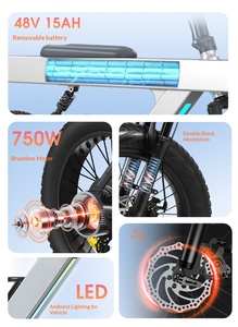 Vélo électrique tout-terrain à <span class=keywords><strong>moteur</strong></span> central 750W 48V 15Ah, <span class=keywords><strong>moteur</strong></span> de moyeu arrière au lithium, vélo de montagne, vélo de ville, pneus larges de 20 pouces, 55 km/h, étanche IPX4 - Product Image 3