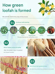 <span class=keywords><strong>Estropajo</strong></span> <span class=keywords><strong>de</strong></span> plato Natural respetuoso con el medio ambiente biodegradable, estropajos, esponja <span class=keywords><strong>de</strong></span> limpieza <span class=keywords><strong>de</strong></span> platos <span class=keywords><strong>de</strong></span> cocina <span class=keywords><strong>de</strong></span> lufa <span class=keywords><strong>de</strong></span> celulosa <span class=keywords><strong>Luffa</strong></span> - Product Image 5