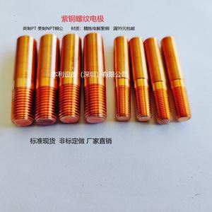 Electrodo Roscado de Cobre para Interés y Corriente (Principal e Interestante) Pt18-27 Pt14-18 para Piezas de Máquinas EDM - Product Image 1