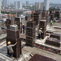 Contreplaqué de coffrage en bois de peuplier E1 économique, écologique, moderne, filmé noir, durable, imperméable et de première qualité