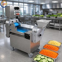 Industriële hoog-efficiënte commerciële groente- en fruitsnijmachine
