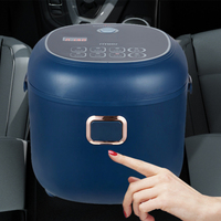2L Portable Voiture Riz Cuiseur Électrique Camion Multicuiseur Soupe Bouillie Cuisson Alimentaire Vapeur Électrique Boîte À Lunch 12V/24V/110V/220V