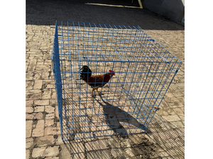 <span class=keywords><strong>Cage</strong></span> <span class=keywords><strong>à</strong></span> poulets en fil métallique pliable, <span class=keywords><strong>cage</strong></span> d'animal en acier, plusieurs tailles disponibles, 60*90*110cm, vente chaude - Product Image 2