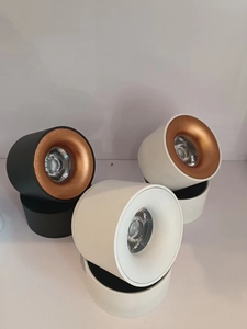 Luces interiores COB de 12W para el hogar, lámpara de techo <span class=keywords><strong>LED</strong></span> montada en superficie, decoración de <span class=keywords><strong>pared</strong></span>, luz para fiesta al aire libre, luz para sala de estar - Product Image 6