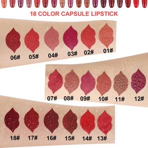 DNM 18 colores Mini cápsula estilo lápiz labial terciopelo mate lápices labiales conjunto viaje tamaño tinte alto pigmento cosméticos - Product Image 6