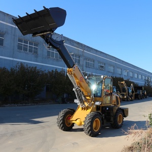 Nhà máy tùy chỉnh Mini telehandler loader mở rộng Cab phía trước bánh xe tải cho nông nghiệp xây dựng - Product Image 1